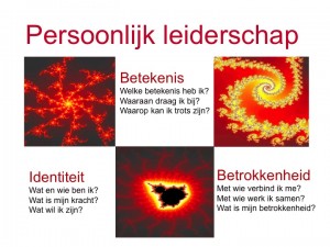 Leiderschapsontwikkeling en persoonlijk leiderschap